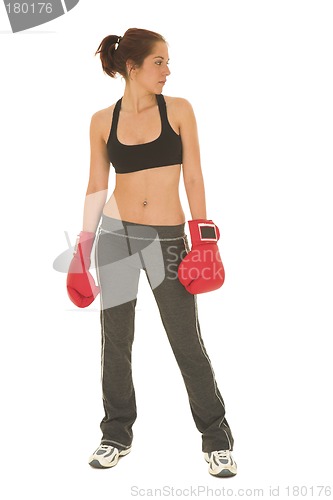 Image of Boxer #14