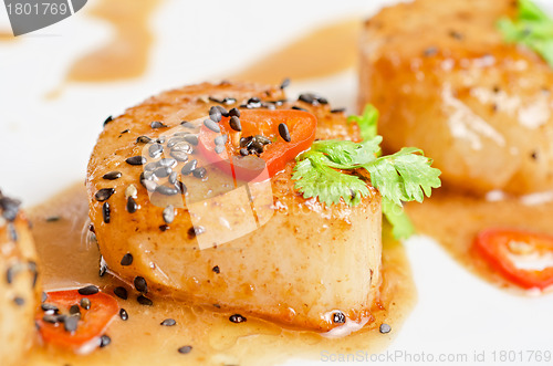 Image of Scallop