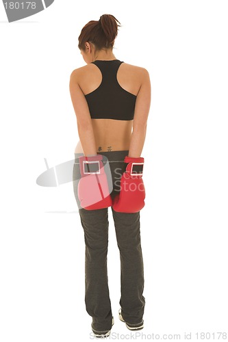 Image of Boxer #16
