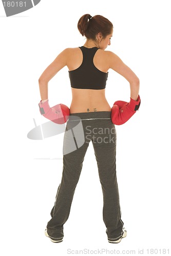 Image of Boxer #18