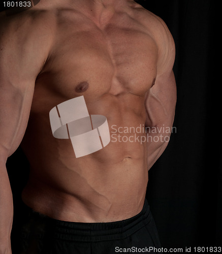 Image of bodybuilder