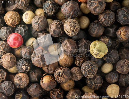 Image of Macro photo of mixed red, white and black peppercorn seeds