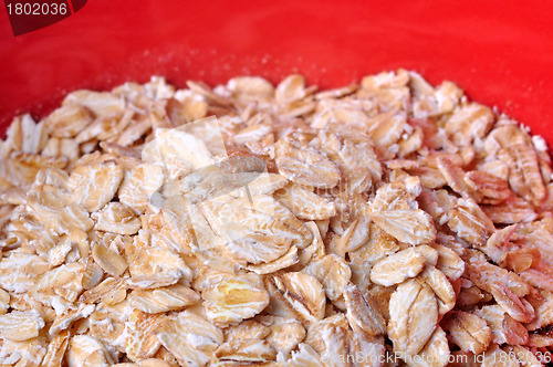 Image of Oatmeal Detail