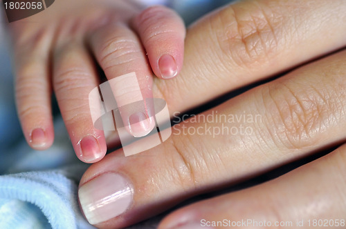 Image of Baby Holding Parent's Finger