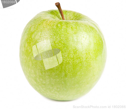 Image of Green Apple