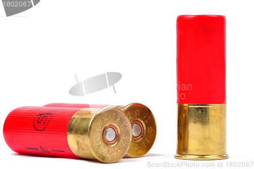 Image of Shotgun Shells