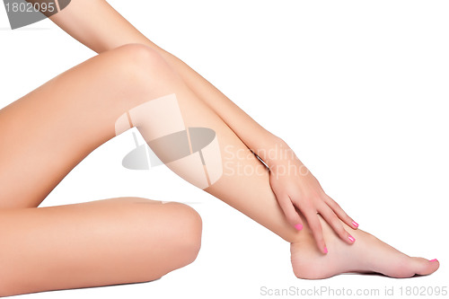 Image of Female Legs