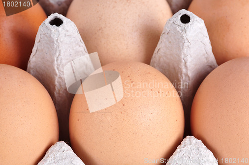 Image of Box of Eggs