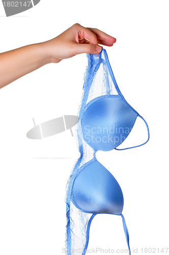 Image of Holding a Bra