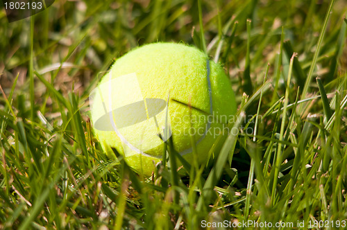 Image of Tennis Ball