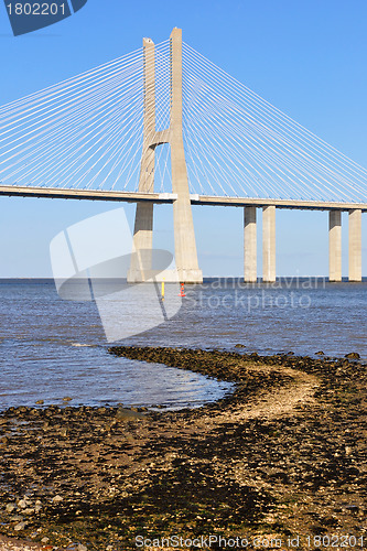 Image of Vasco da Gama Bridge