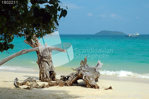 Image of Paradise Beach