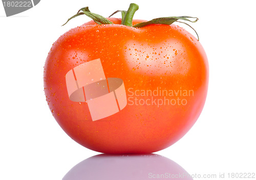Image of Red Tomato