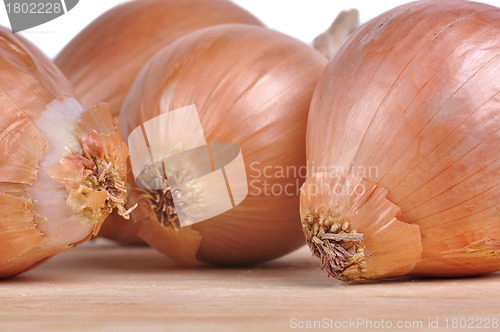 Image of Onions