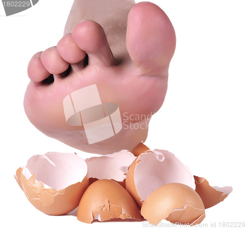 Image of Walking on Eggshells