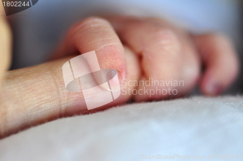 Image of Baby Holding Parent's Finger