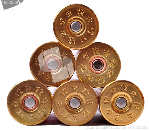 Image of Shotgun Shells