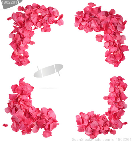 Image of Rose Petal Frame