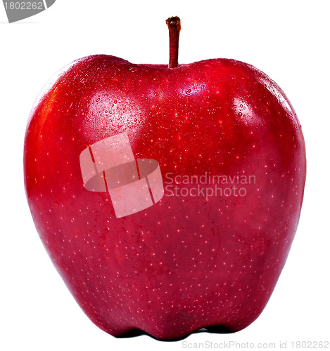 Image of Red Apple