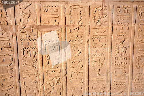 Image of Hierogliphic scripts