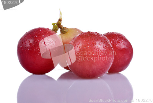 Image of Red grapes