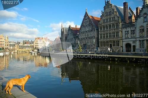 Image of Graslei in Ghent, Belgium