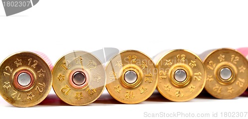 Image of Shotgun Shells