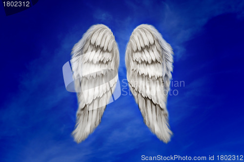 Image of Angel Wings