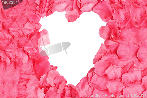 Image of Rose Petal Frame