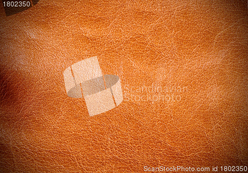 Image of Leather Texture