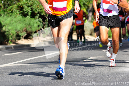 Image of Marathon Racers