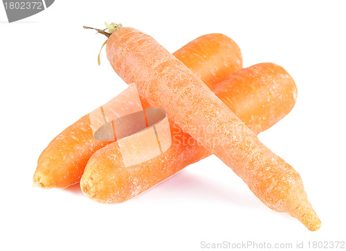 Image of Carrots