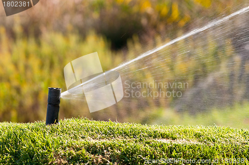 Image of Sprinkler