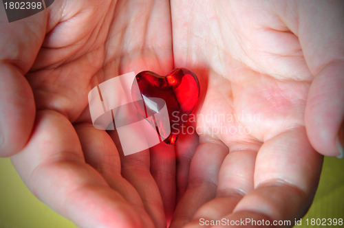 Image of Heart in hands