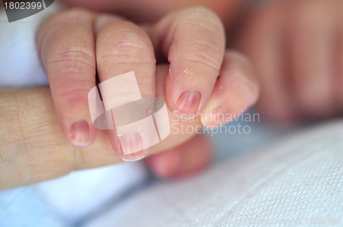 Image of Baby Holding Parent's Finger