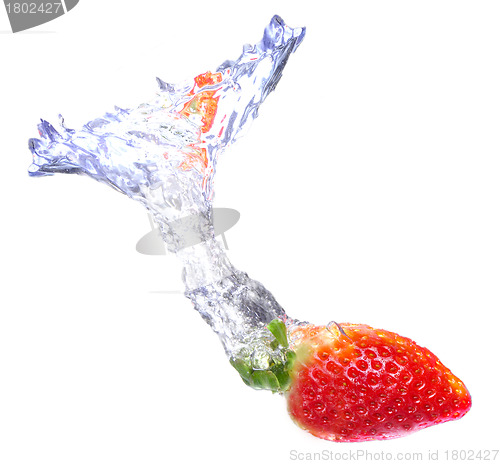 Image of Strawberry Splash