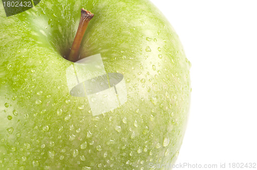 Image of Green Apple