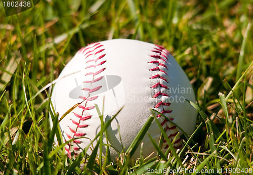 Image of Baseball