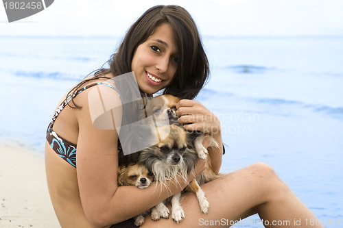 Image of chihuahuas and girl on the beach