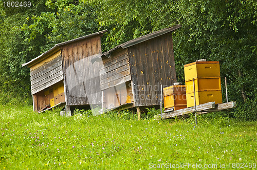 Image of bee hives