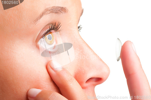 Image of Contact Lens