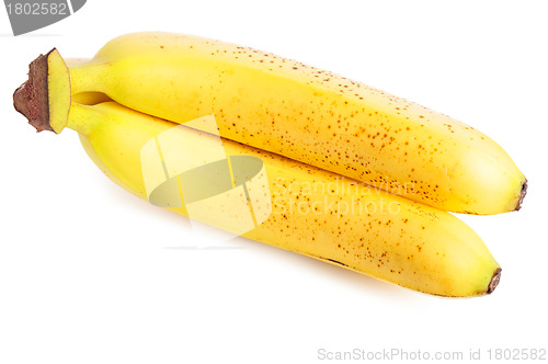 Image of Mature Bananas