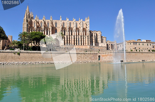 Image of Mallorca Cathedral