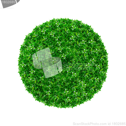 Image of Green ball