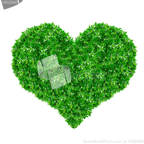 Image of Green Heart Sign