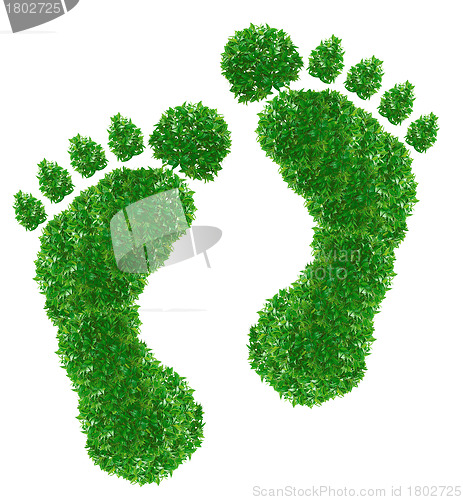 Image of Green footprint Sign