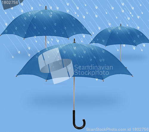 Image of umbrella