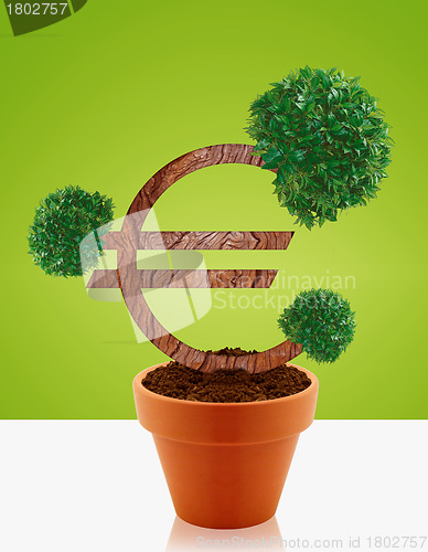 Image of Money tree 