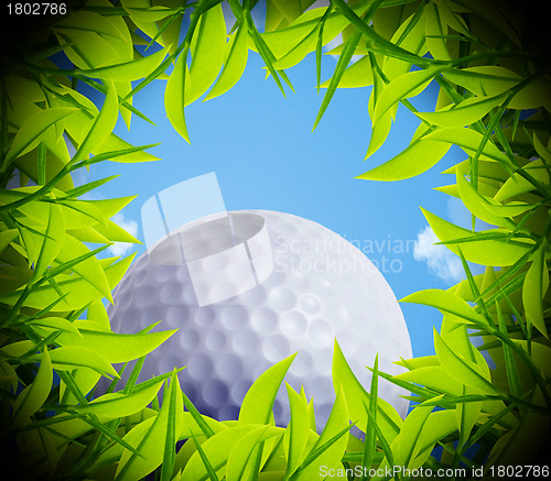 Image of Golf ball hole