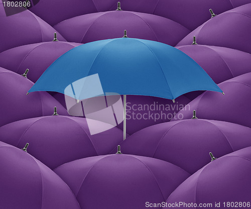 Image of umbrella